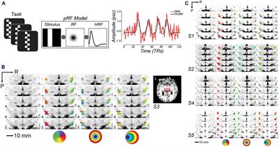 Mnemonic representations in human lateral geniculate nucleus